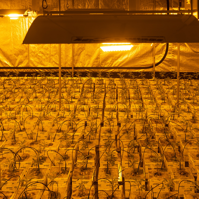 Grow Guide for New Farmers