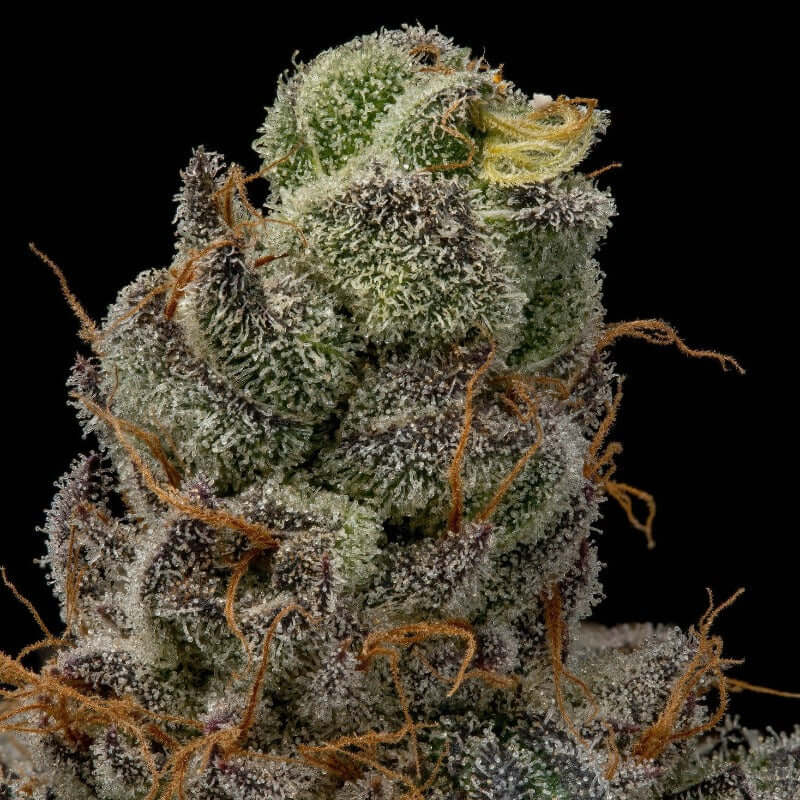 Cannabis Flower