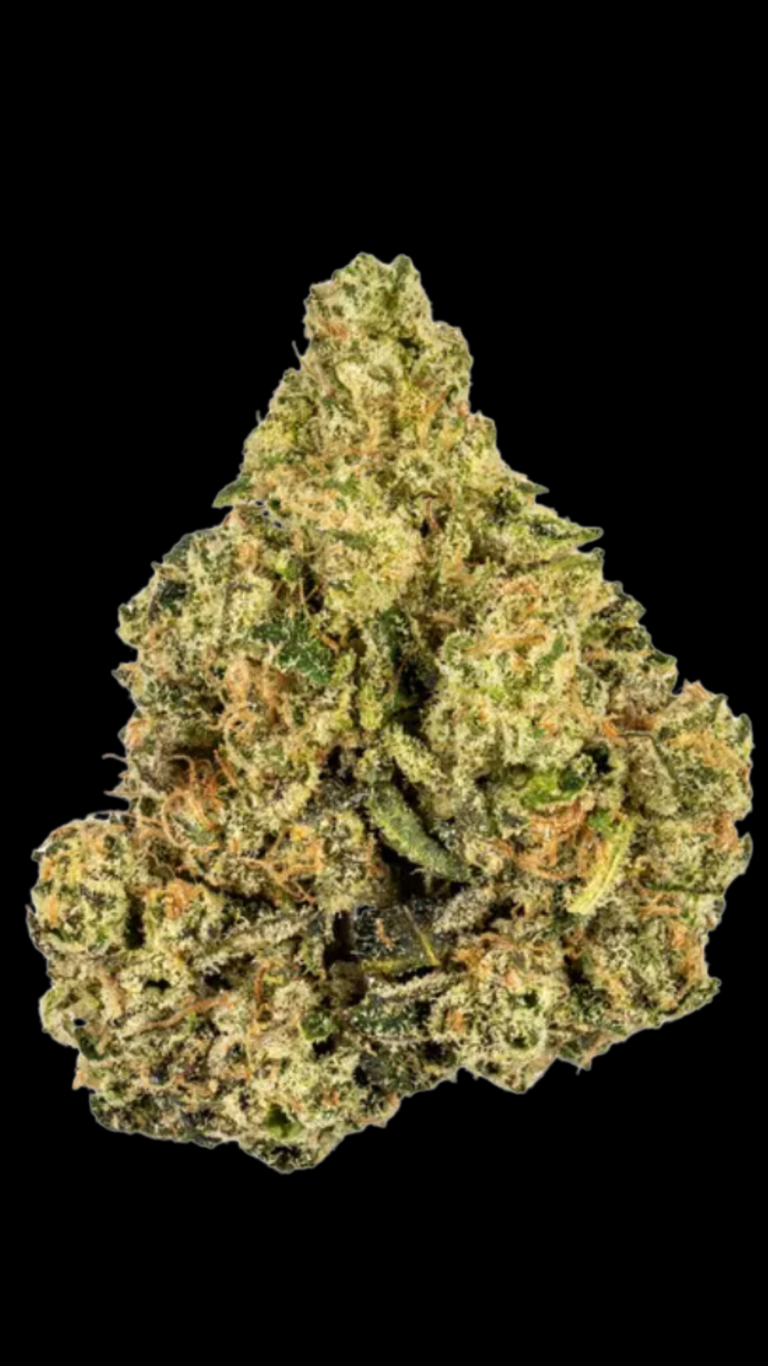 Premium Sour Cannabis Strains